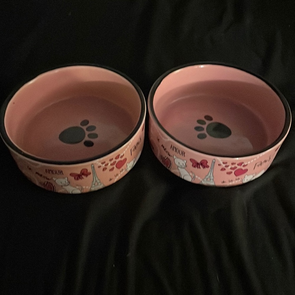 SOLD Set of 2 Ceramic Cat Bowls - Paris Themed